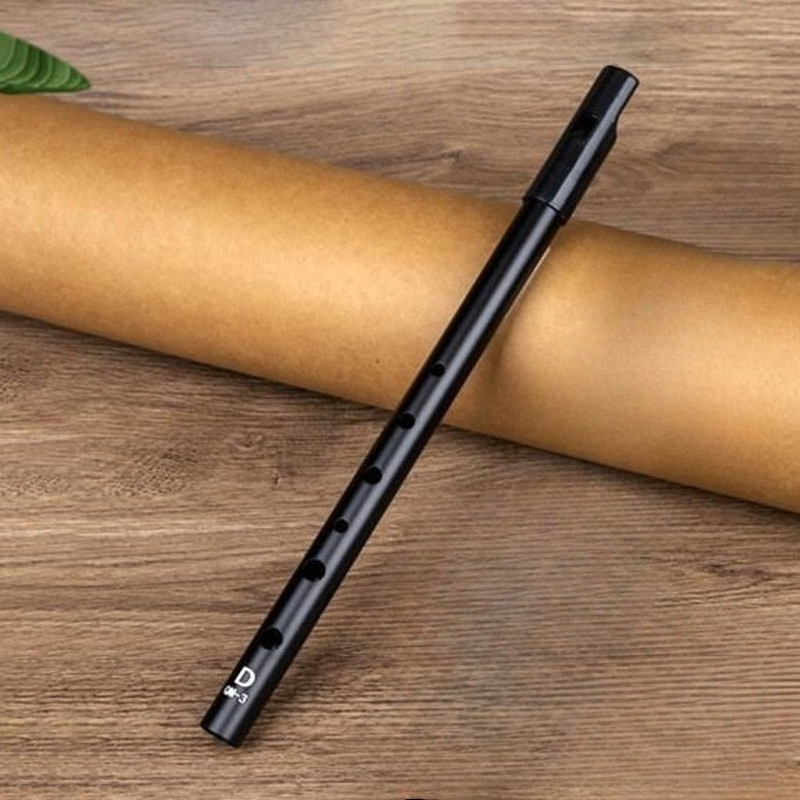 Tin Whistle Flute - D Key Tin Whistle Anfänger Kind