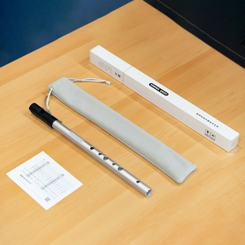 Tin Whistle Flute - D-Tonart 6-Loch Blechpfeife aus Metall, Langlebige