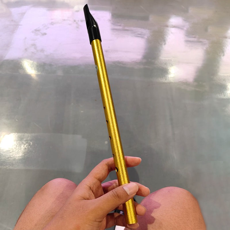 Tin Whistle Flute - 6-Loch Penny Whistle für Schüler und