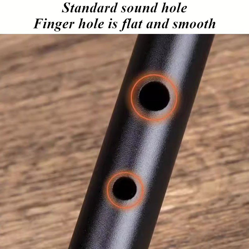 D Key Tin Whistle Anfänger Kin – Tin Whistle Flute Bewertung und Preis