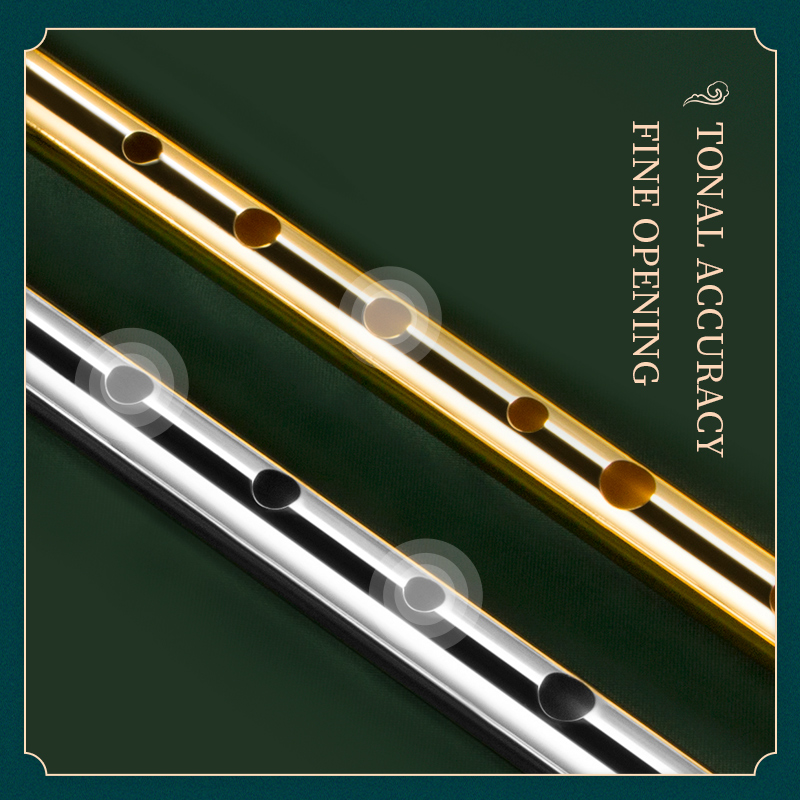 Irische Pfeifenflöte für Musik – Tin Whistle Flute Bewertung und Preis