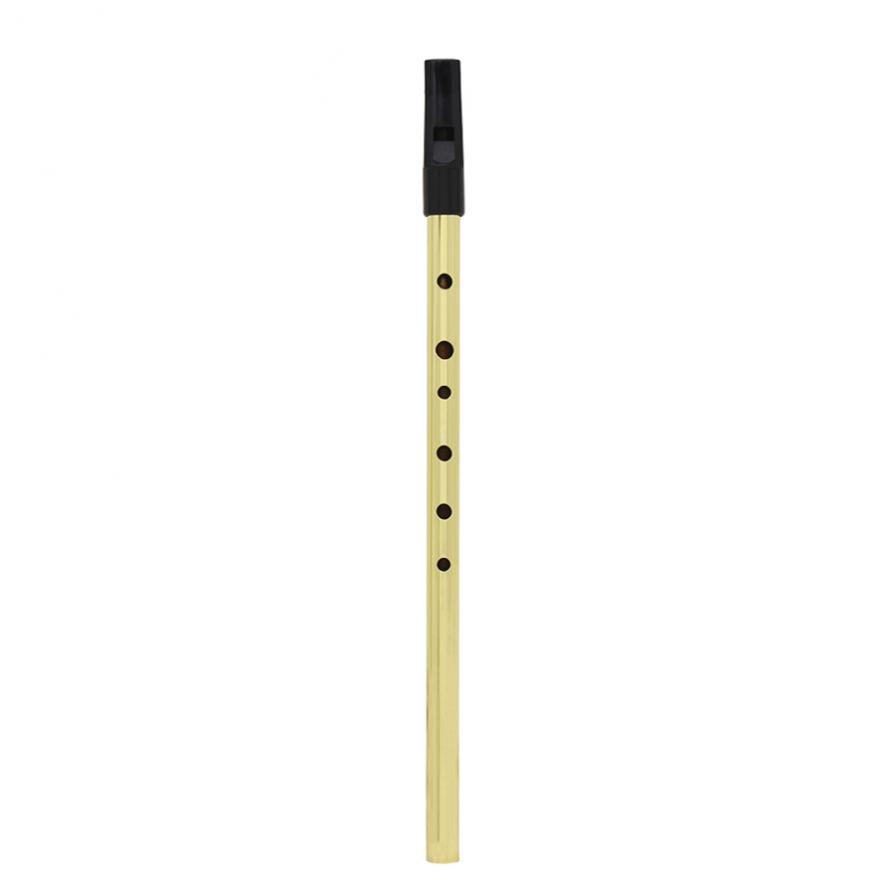 Irish Pfeife Sopran Flöte D To – Tin Whistle Flute Bewertung und Preis