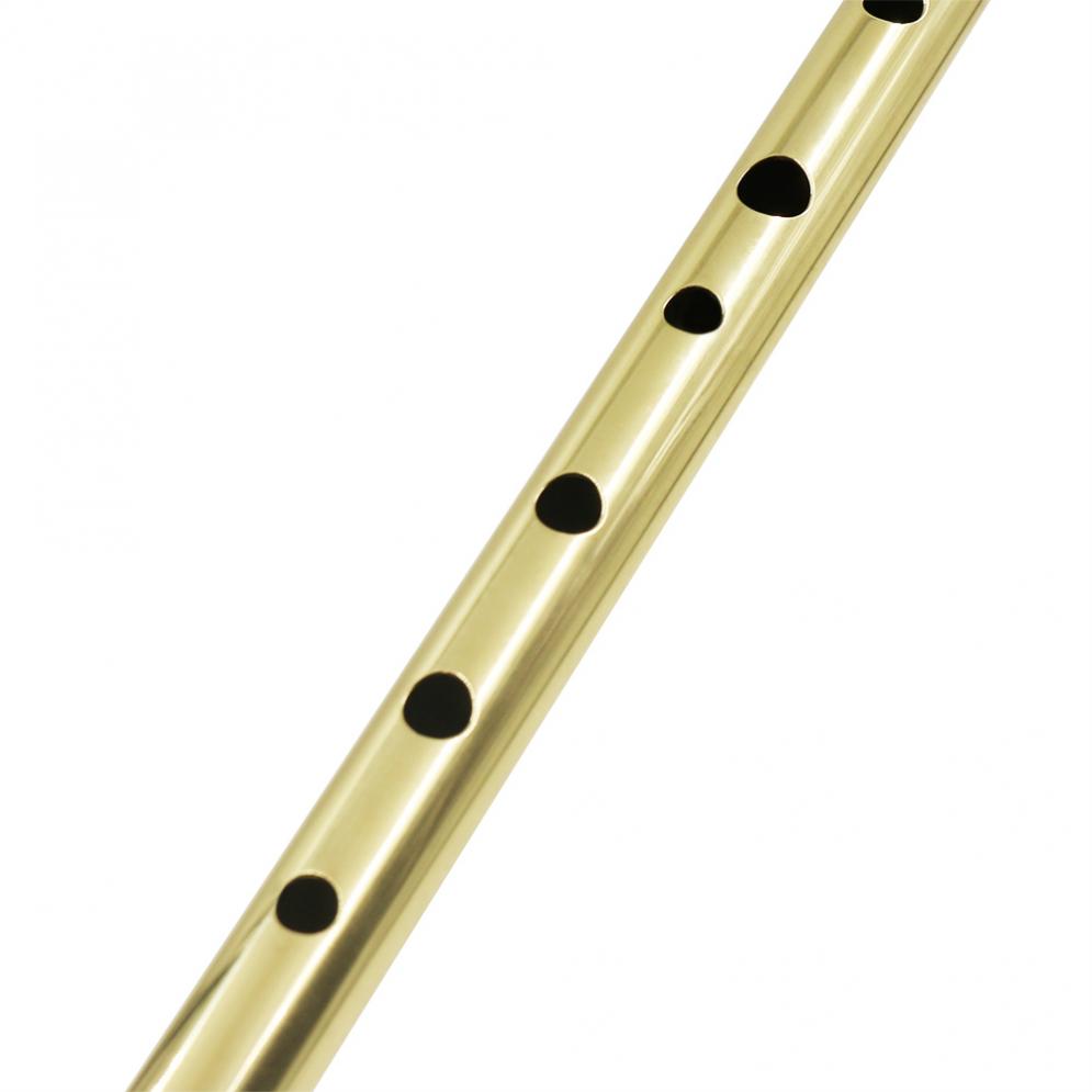 Irish Pfeife Sopran Flöte D To – Tin Whistle Flute Bewertung und Preis