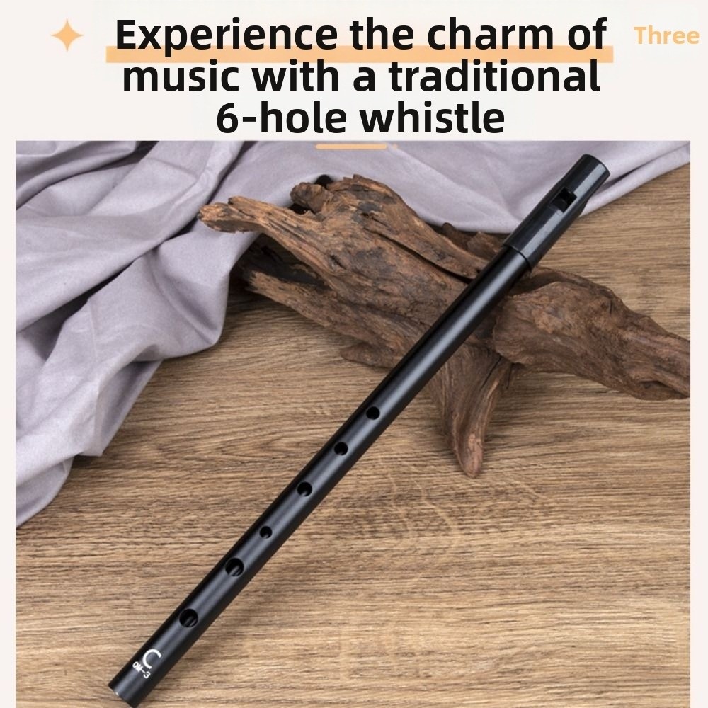 C/D-Stimmung Irische Tin-Whist – Tin Whistle Flute Bewertung und Preis
