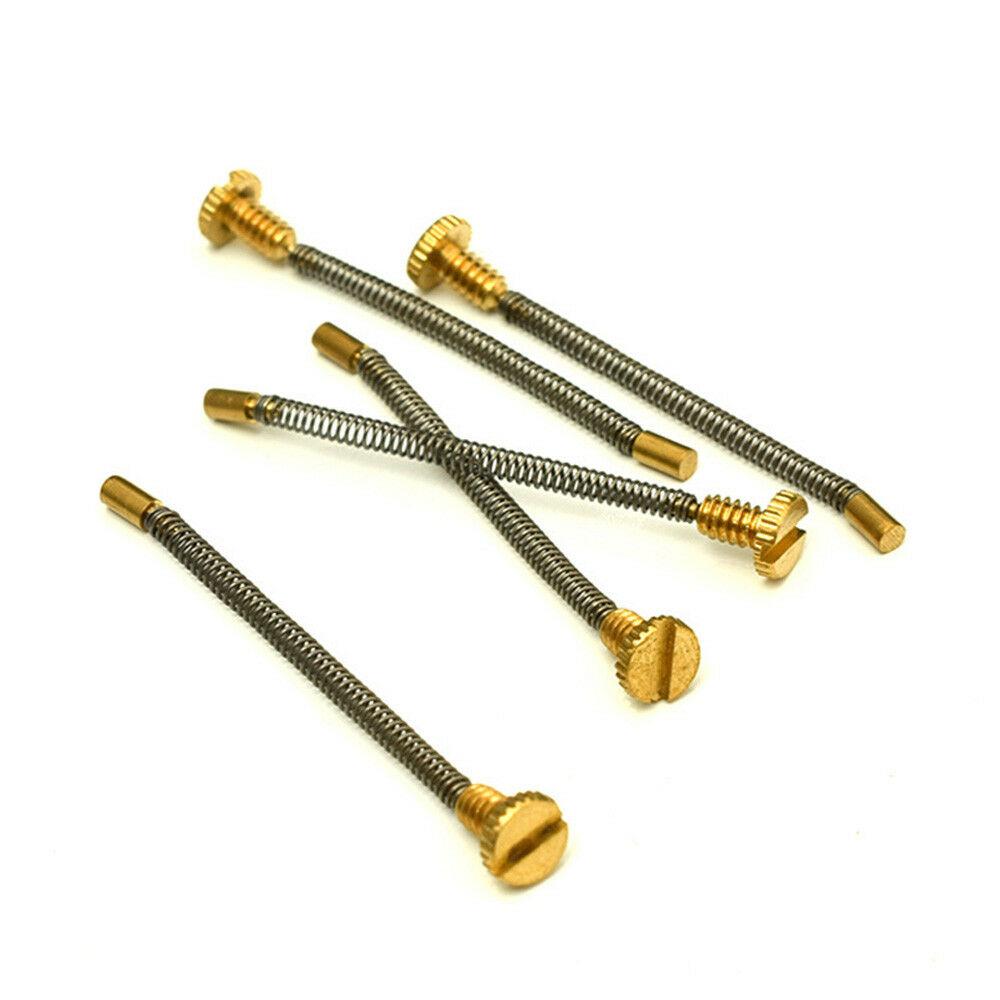 10 Stück Metallfederschrauben  – Musical Instrument Zither Bewertung und Preis