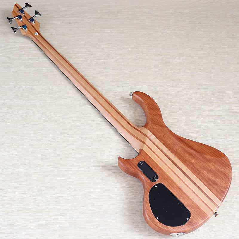 4-Saitiger Aktiver E-Bass mit  – Bass Guitar Fretless Bewertung und Preis