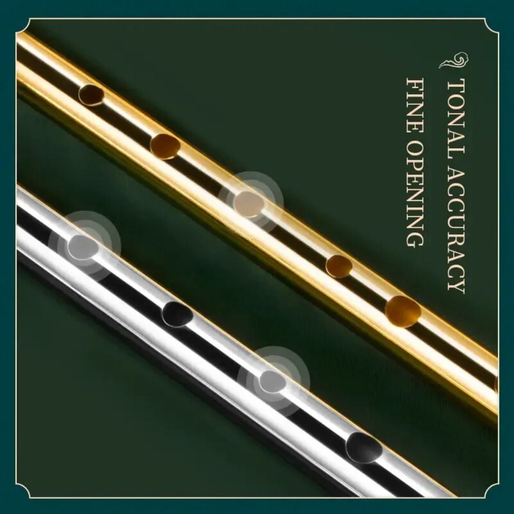 6-Loch C/D Irish Whistle Flöte – Tin Whistle Flute Bewertung und Preis