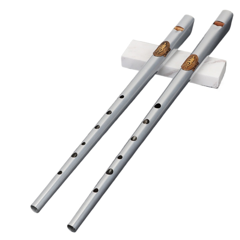 D/C Key Tin Whistle Student An – Tin Whistle Flute Bewertung und Preis