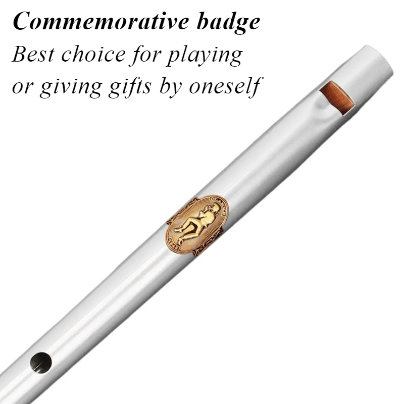 D/C Key Tin Whistle Student An – Tin Whistle Flute Bewertung und Preis