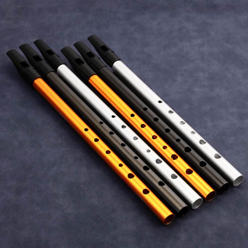 6-Loch Penny Whistle für Schül – Tin Whistle Flute Bewertung und Preis